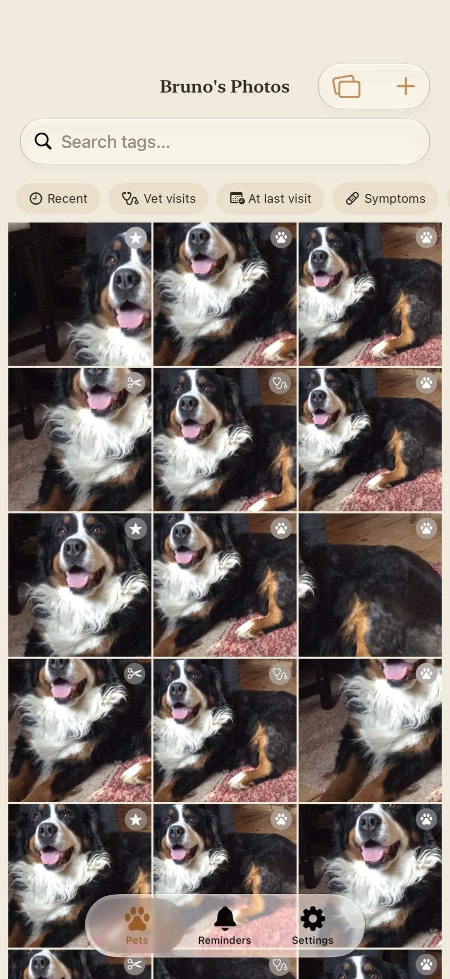Pawza photo gallery of a pet