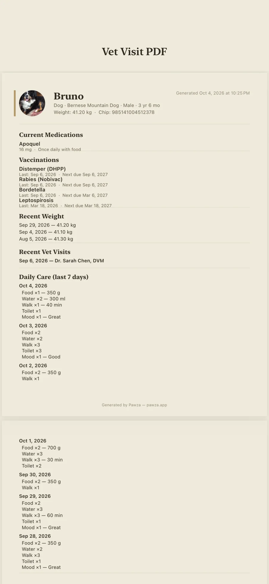 Pawza printable vet visit PDF with medications, vaccinations and weight