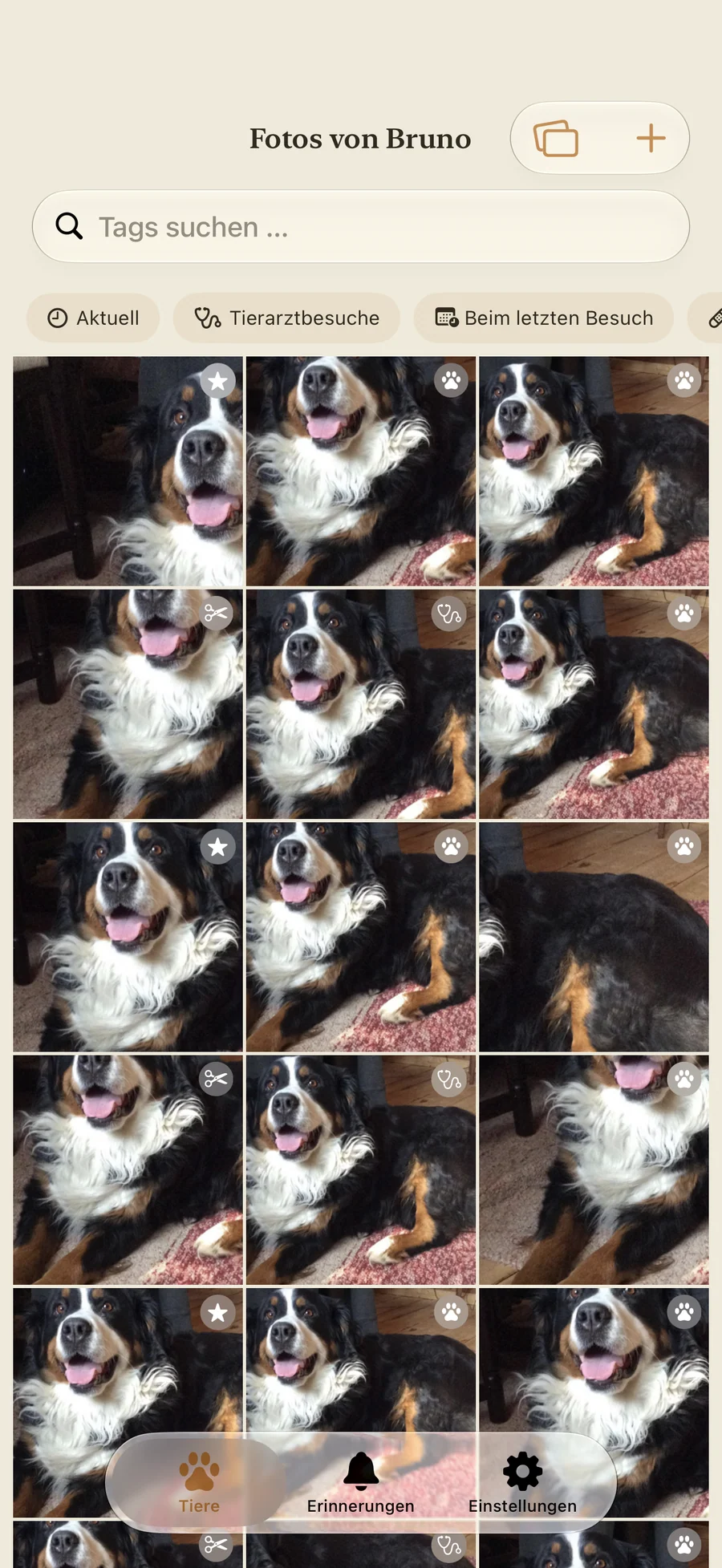 Fotogalerie eines Tieres in Pawza